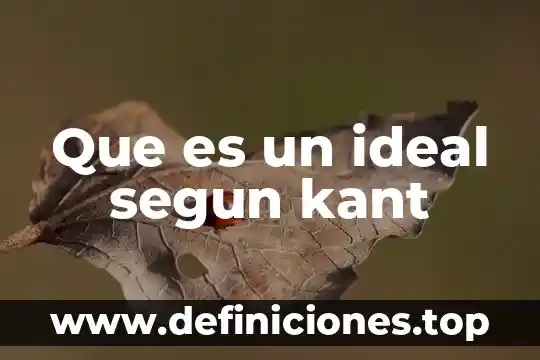 Que es el conocimiento del ser kant 5 Que es un ideal segun kant