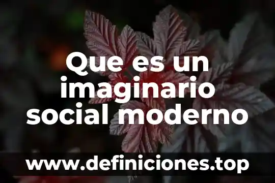 Que es un numero imaginario y como se representa 3 Que es un imaginario social moderno