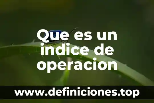 Que es una filosofia de operación sistema kitchen buckeye 5 Que es un indice de operacion