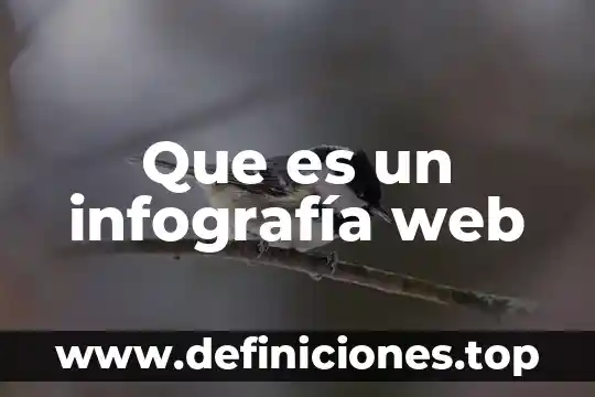 Que es un cotizador web 5 Que es un infografía web