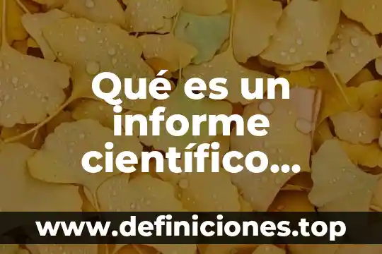 Que es masa drenada ejemplos 3 Qué es un informe científico cuáles son las partes