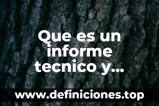Que es un informe tecnico y cuales son sus elemen
