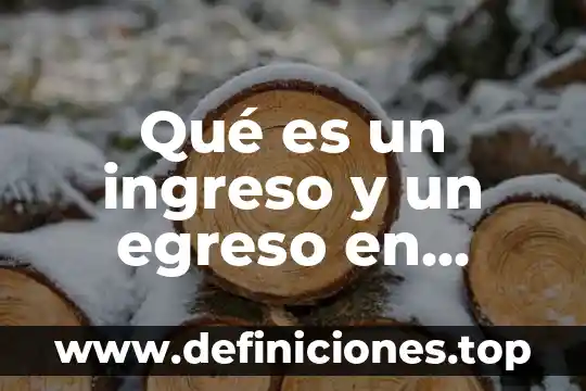 Que es el proyecto de presupuesto de egreso 8 Qué es un ingreso y un egreso en contabilidad