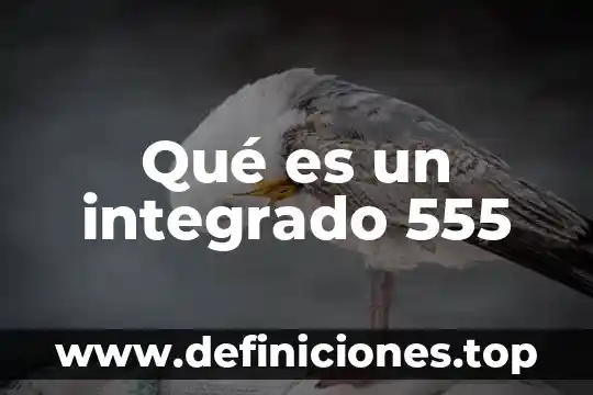 Qué es el operadores relacionales en calculo diferencial 7 Qué es un integrado 555