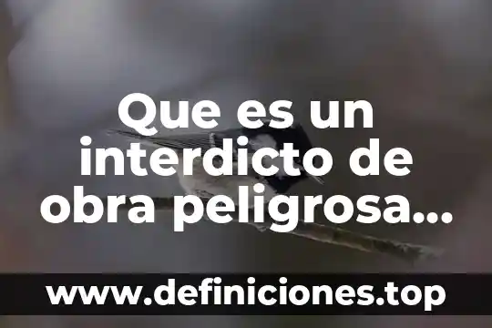 Que es un embargo precautorio scjn fiscal 7 Que es un interdicto de obra peligrosa scjn