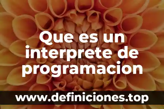 Que es un interprete de programacion