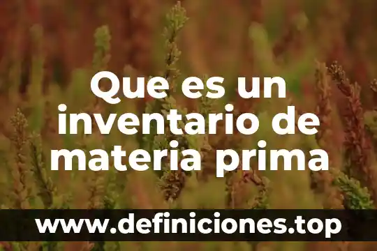 Que es existencias de materia prima directa y materiales 3 Que es un inventario de materia prima