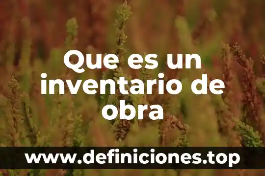 Que es inventario como activo 8 Que es un inventario de obra