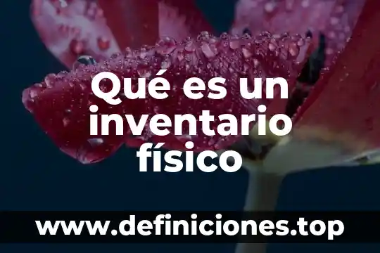 Que es inventario como activo 6 Qué es un inventario físico