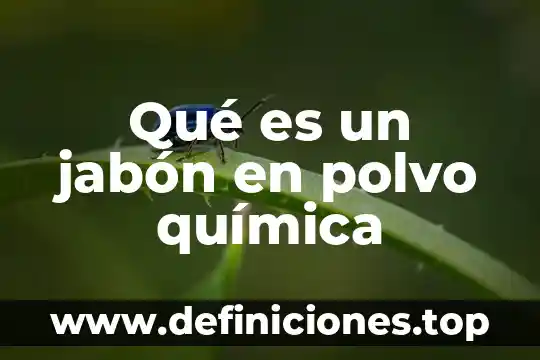 Qué es un jabón en polvo química