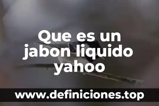 Que es un jabon liquido yahoo