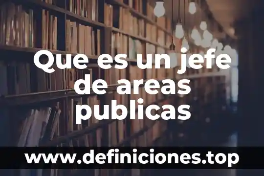 Qué es la contabilidad y finanzas públicas 6 Que es un jefe de areas publicas