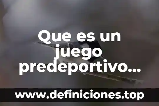 Que es adverbios en ingles y ejemplos 6 Que es un juego predeportivo ejemplos