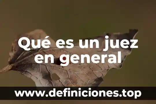 Qué es una institución en general 7 Qué es un juez en general