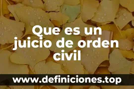 Que es lo que contiene una sentencia civil 4 Que es un juicio de orden civil