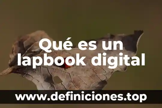 Que es un termometro digital de varilla 3 Qué es un lapbook digital
