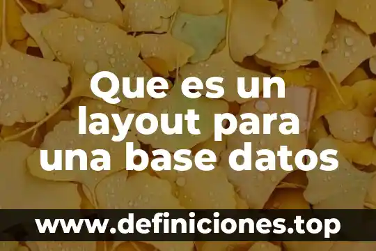 Qué es base de datos en informática administrativa 4 Que es un layout para una base datos