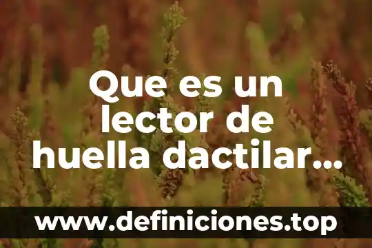 Que es lo que hace diferente una huella a otra 5 Que es un lector de huella dactilar en un celular