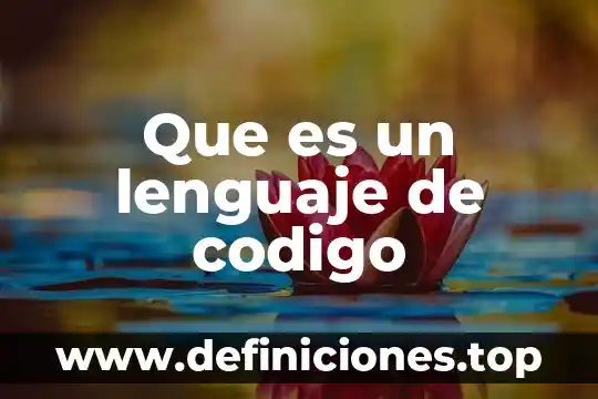 Que es un lenguaje de codigo