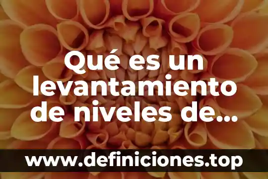 Qué es un niveles de atención en enfermeria 7 Qué es un levantamiento de niveles de radiación
