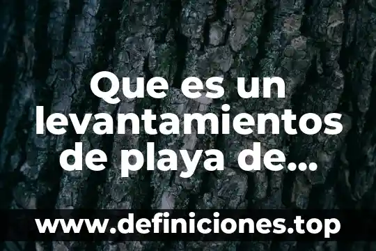 Qué es boja en la costa 7 Que es un levantamientos de playa de costa