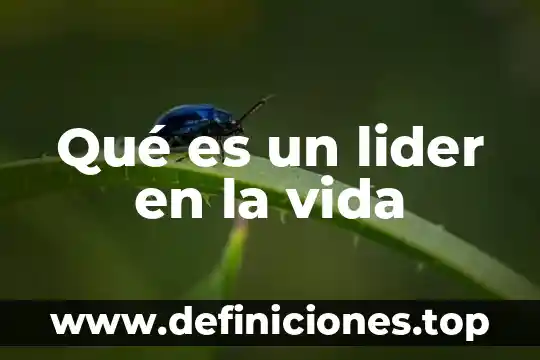 Qué es lo más importante de un buen líder 5 Qué es un lider en la vida