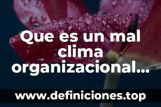 Que es intervenciones organizacional 4 Que es un mal clima organizacional en una empresa