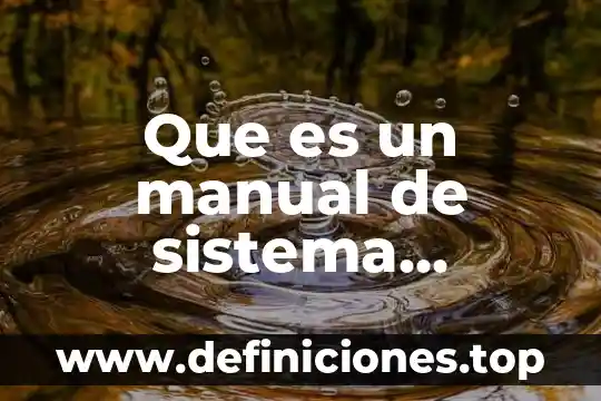 Que es un manual de sistema contable