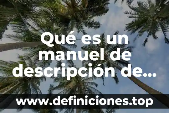 Qué es intuitivas en clasificación y descripción de técnicas 8 Qué es un manuel de descripción de puestos y funciones