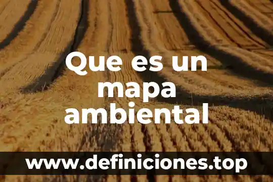 Que es un mapa tematico de argentina 8 Que es un mapa ambiental