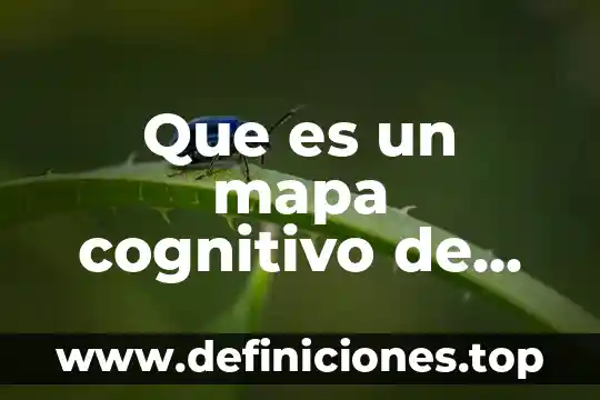 Que es un mapa cognitivo de procesos 7 Que es un mapa cognitivo de calamar