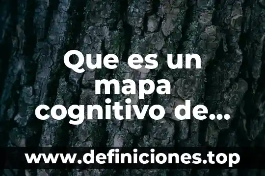 Que es un mapa cognitivo de calamar 8 Que es un mapa cognitivo de procesos