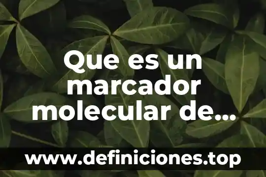 Que es un marcador molecular de acido folico