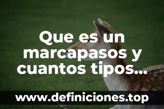 Que es un marcapasos y cuantos tipos hay