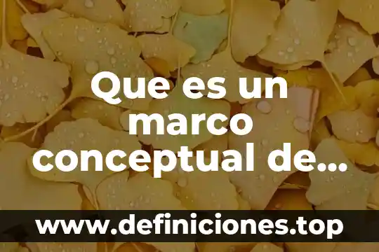 Que es un marco conceptual de enfermeria