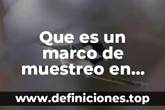 Que es el muestreo en matematicas 4 Que es un marco de muestreo en estadistica