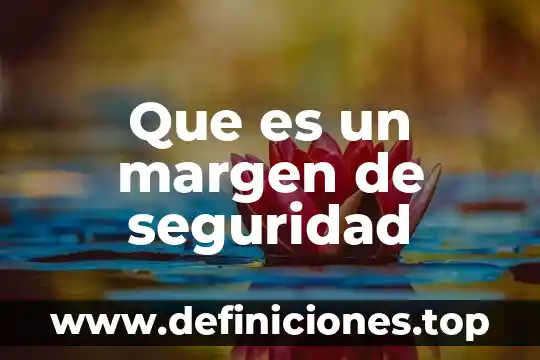 Que es un valor de uso directo 4 Que es un margen de seguridad