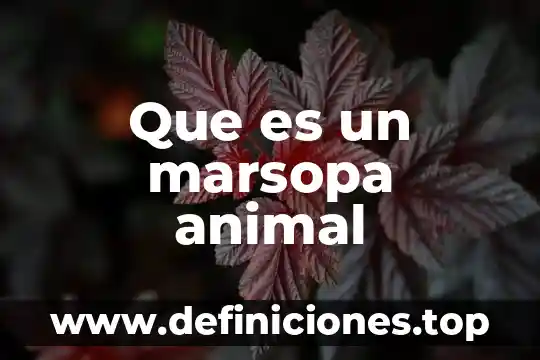 Que es un marsopa animal