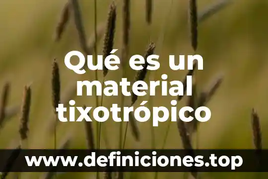 Competencia material que es 4 Qué es un material tixotrópico
