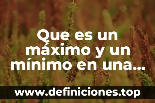 Qué es el bullyng clasificación y tipos 3 Que es un máximo y un mínimo en una funcion