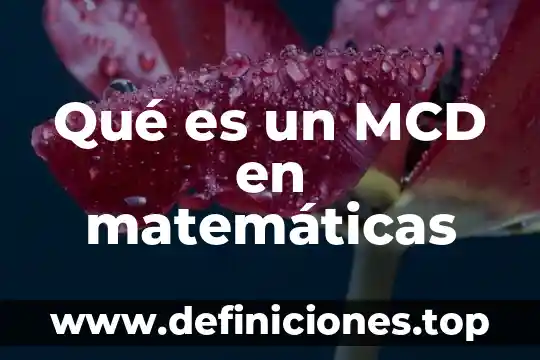 Qué es un orden total matemáticas discretas 8 Qué es un MCD en matemáticas