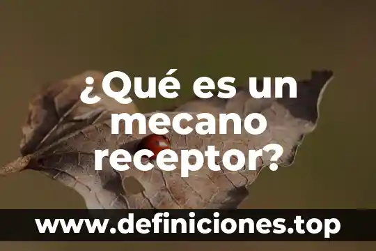 Que es el sistem mbs 6 ¿Qué es un mecano receptor?