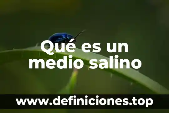 Que es la eisa en el medio 8 Qué es un medio salino