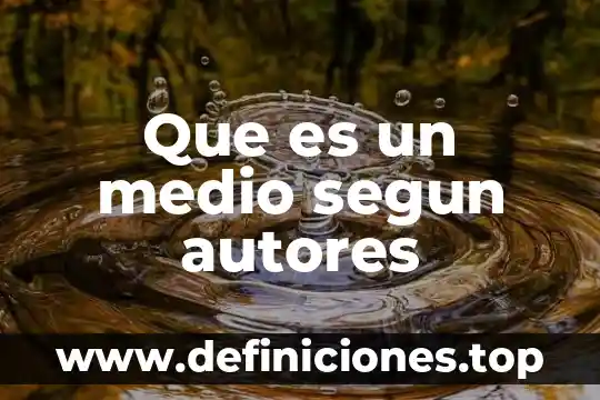 Que es el re liso segun teresaaudesirk 6 Que es un medio segun autores