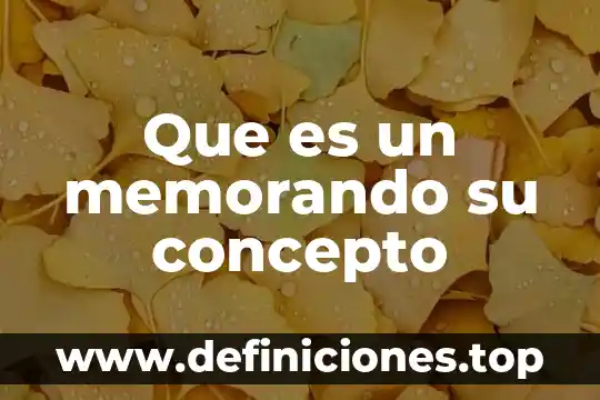 Que es un memorando su concepto