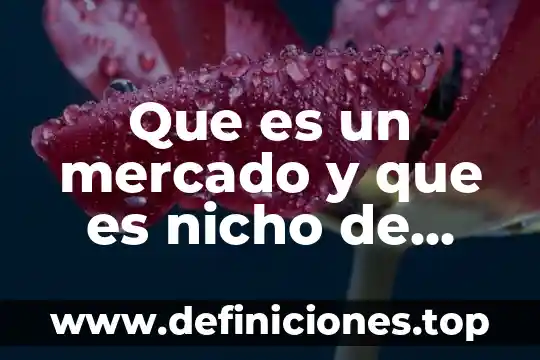 Que es un mercado y que es nicho de mercad