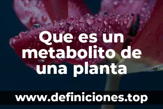 Que es una planta autógama 4 Que es un metabolito de una planta