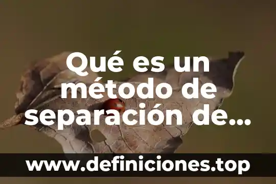 Qué es la separación y análisis de lípidos 6 Qué es un método de separación de mezclas heterogéneas