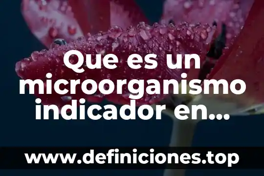 Que es calidad e inocuidad de los alimentos 5 Que es un microorganismo indicador en alimentos