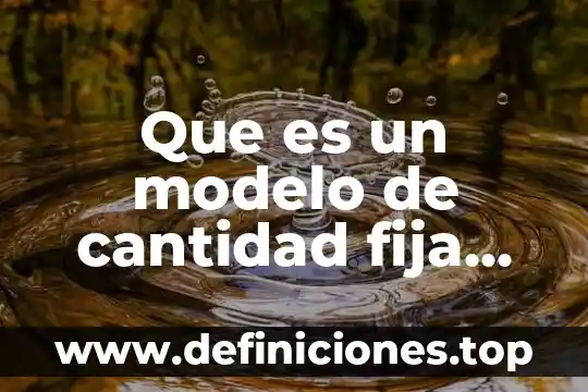 Que es cantidad electrica 8 Que es un modelo de cantidad fija de reorden